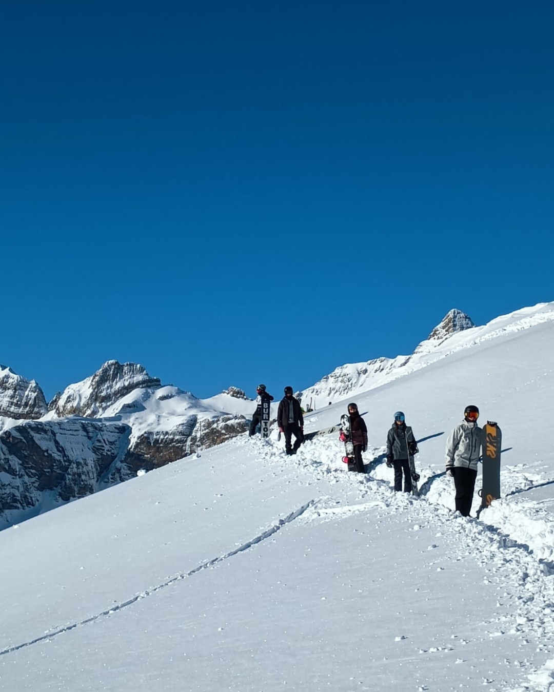 Snowboard con nieve recien caida